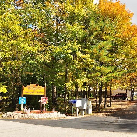 Tranquil Timbers Cabin 11 스터전 베이 외부 사진