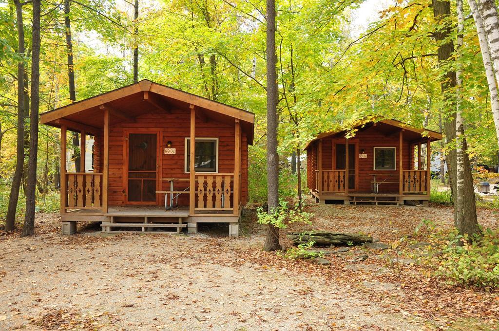 Tranquil Timbers Cabin 11 스터전 베이 외부 사진